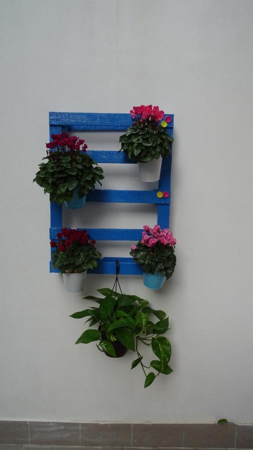 Il Giardino Segreto Apartment Palermo Luaran gambar